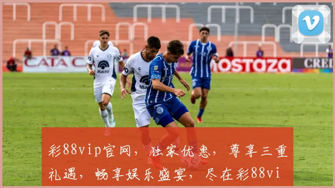 彩88vip官网，独家优惠，尊享三重礼遇，畅享娱乐盛宴，尽在彩88vip官网，诚邀您体验