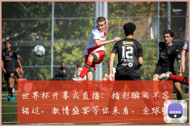 世界杯开幕式直播：精彩瞬间不容错过，激情盛宴等你来看，全球瞩目